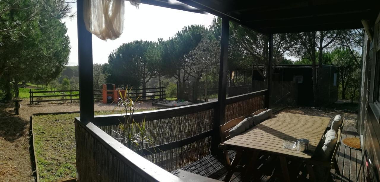 De Crianca Farm stay Sao Teotonio